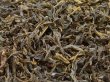 画像1: [武夷岩茶]奇蘭 25g (1)