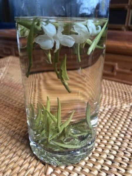 画像3: ジャスミン茶（白雪公主茉莉直飄）50g (3)