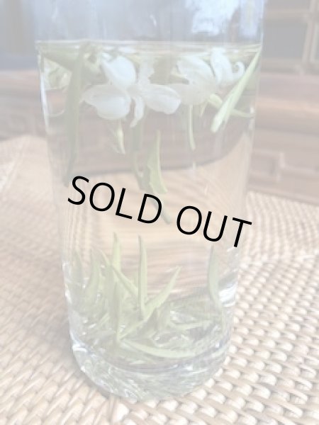 画像3: ジャスミン茶（白雪公主茉莉直飄）25g (3)