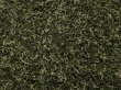 画像1: 【2025年産茶葉25%OFF】碧螺春 極品 50g (1)