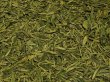 画像1: 【2025年産茶葉25%OFF】西湖龍井 50g (1)