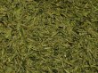 画像1: 【2024年産茶葉20%OFF】明前梅家塢龍井 25g (1)