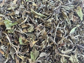 極品 白牡丹 25g｜白茶｜中国茶の販売専門店【茶茶】