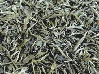 極品 白牡丹 25g｜白茶｜中国茶の販売専門店【茶茶】